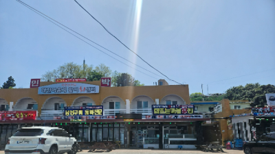 강원 고성군 대진활어회센터, 군청부지 주차장 사유화 '빈축'