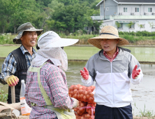 창녕군, 마늘·양파 수확철 맞아 인력 수급 총력 대응