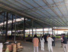 충남형 축산사업 특례보증 지원 뜨거운 호응 [힘쎈충남 브리핑]
