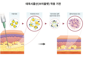 대웅제약 “브이올렛 주성분, 팔뚝살에도 효과…피하지방 7.49㎜ 감소”
