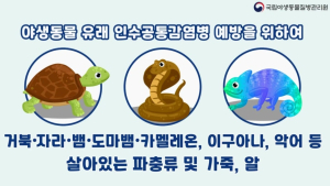 야생동물질병관리원, 해외 질병 차단 ‘파수꾼’…파충류 15.8만 마리 검역