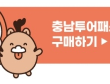 모바일 티켓 한 장으로 충남관광 ‘올킬’ [힘쎈충남 브리핑]