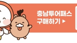모바일 티켓 한 장으로 충남관광 ‘올킬’ [힘쎈충남 브리핑]