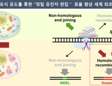 [쿠키과학] 