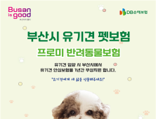 부산시, 유기견 입양시 1년간 펫보험 무료 지원… 일천만원 한도