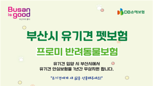 부산시, 유기견 입양시 1년간 펫보험 무료 지원… 일천만원 한도