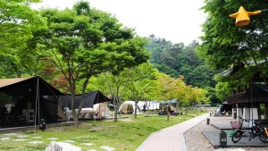 수하계곡 품은 영양군 청소년수련원 캠핑장, 가족 힐링 명소 주목
