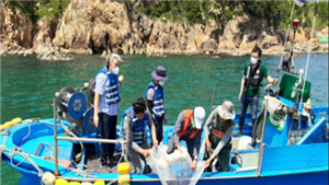 부산시 수산자원연구소, 어린 감성돔·넙치 51만 마리 방류