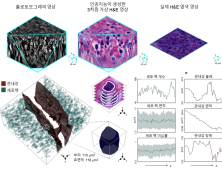 [쿠키과학] '암 조직 입체구조 완벽 분석'… KAIST, 3D 가상염색기술 개발