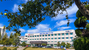 동해시, 수소산업 전주기 체계 구축…R&D·특화단지 '투트랙' 전략 시동