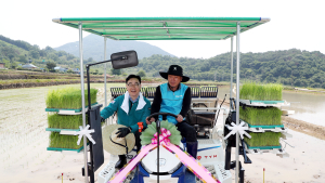 하동군, '하동 섬진강쌀' 세계인 밥상에 오른다