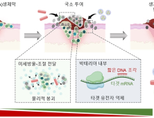 [쿠키과학] 항생제 내성 슈퍼박테리아 방패막 '바이오필름' 깨는 치료법
