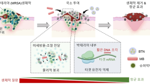 [쿠키과학] 항생제 내성 슈퍼박테리아 방패막 '바이오필름' 깨는 치료법