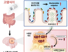 [쿠키과학] 
