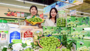 ‘매실의 계절이 왔어요’