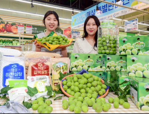 ‘매실의 계절이 왔어요’