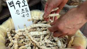 대법 “소비자원 ‘가짜 백수오’ 발표 위법…주주배상책임은 없어”