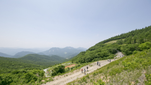 강원랜드·정선군·강원관광재단, '운탄고도 활성화 선도' 업무협약 체결
