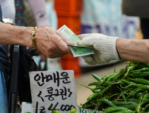 이상민 “추가 감세 절대 안 돼…추경 효율적 진행해야” [이재명 정부]