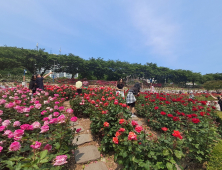삼척 장미축제 '성료'…동해안 최대 축제로 도약