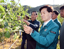 안병구 밀양시장, 산내면 사과 우박피해 현장 방문