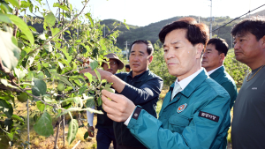 안병구 밀양시장, 산내면 사과 우박피해 현장 방문
