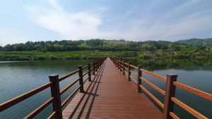 의성군, ‘조성지 청산 뚜벅이길’ 4.5km 둘레길 완공