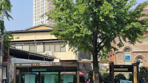 전주 중앙성당 앞 가로수 품은 저상버스 승강장 시설 개선 ‘눈길’