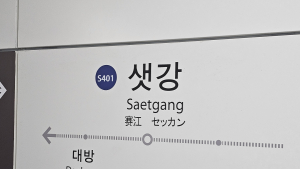샛강역 전동휠체어 추락…신림선 열차 운행 중지