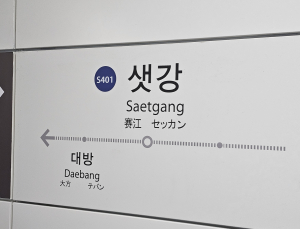 샛강역 전동휠체어 추락…신림선 열차 운행 중지