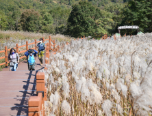 '포천 산정호수 명성산 억새꽃 축제' 오는 10월 17일 개막