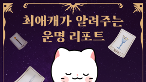 스튜디오 리코, 웹툰 캐릭터 기반 AI 사주·타로 서비스 ‘타로툰’ 출시
