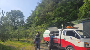 영양군, 돌발해충 공동방제 총력…산불 피해 지역부터 우선 대응