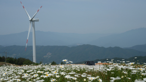 4계절 꽃피는 관광지로 도약하는 '거창 별바람 언덕'