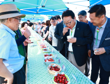 울진 체리, ‘소비자 입맛’ 사로잡아