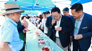 울진 체리, ‘소비자 입맛’ 사로잡아
