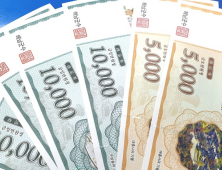 전남 올해 지역화폐 1조3000억 발행