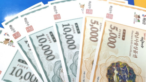 전남 올해 지역화폐 1조3000억 발행