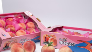 영덕군, 내달 25일부터 ‘복숭아 장터’ 운영