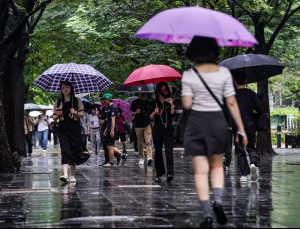 장마 본격 시작…수도권 등 최대 150㎜ 폭우 [쿠키포토]