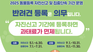 광주시, 7월 ‘동물등록 집중 단속’