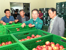 군위군, 농산물 공판장 개장…자두 1500kg 첫 경매