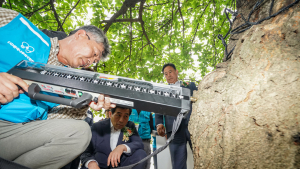 도시숲 주치의 ‘나무의사’ 150명…국회서 최신 장비로 병해 진단 [쿠키포토]