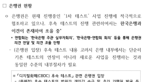 “디지털화폐 실험, 이대론 안 된다” 은행권서 우려 솔솔