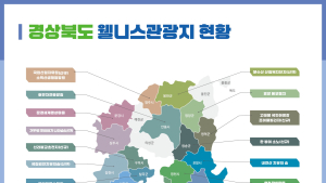 경북도, “웰니스관광으로 국내 최고 치유 관광지 만든다”