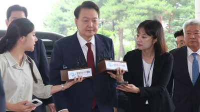 민주 “법꾸라지 尹, 구속만이 답…특검 강제조사 나서야”