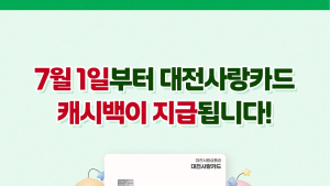 대전사랑카드 7월부터 운영… 구매한도 월 50만원·캐시백 7% 제공