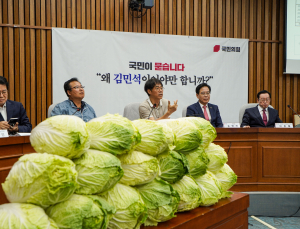 ‘배추 18포기’ 쌓아놓고 김민석 국민청문회