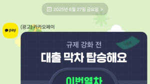 李정부 대출 관리 난리인데…카카오페이는 ‘규제 전 막차 타라’