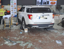 강릉 대관령휴게소 식당가로 SUV 돌진…10명 부상